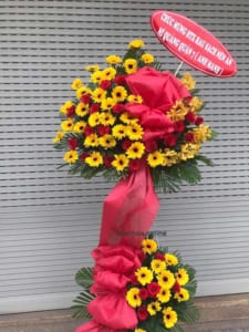 ke-hoa-khai-truong-thanh-cong-01-130321